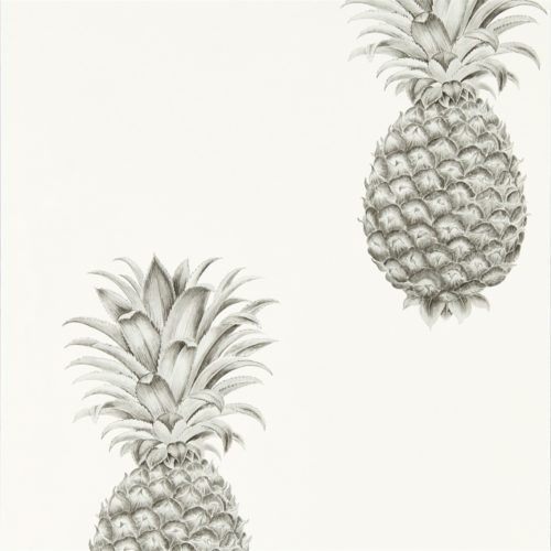 Pineapple Royale 216324